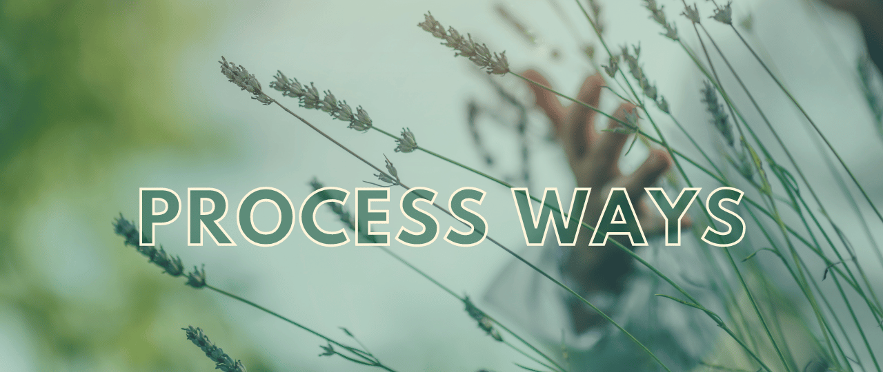 header - Process Ways